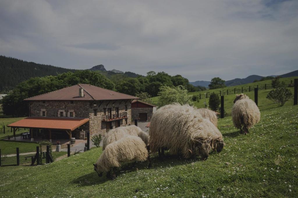 Casa Rural Urikoa Hotel Artea ภายนอก รูปภาพ